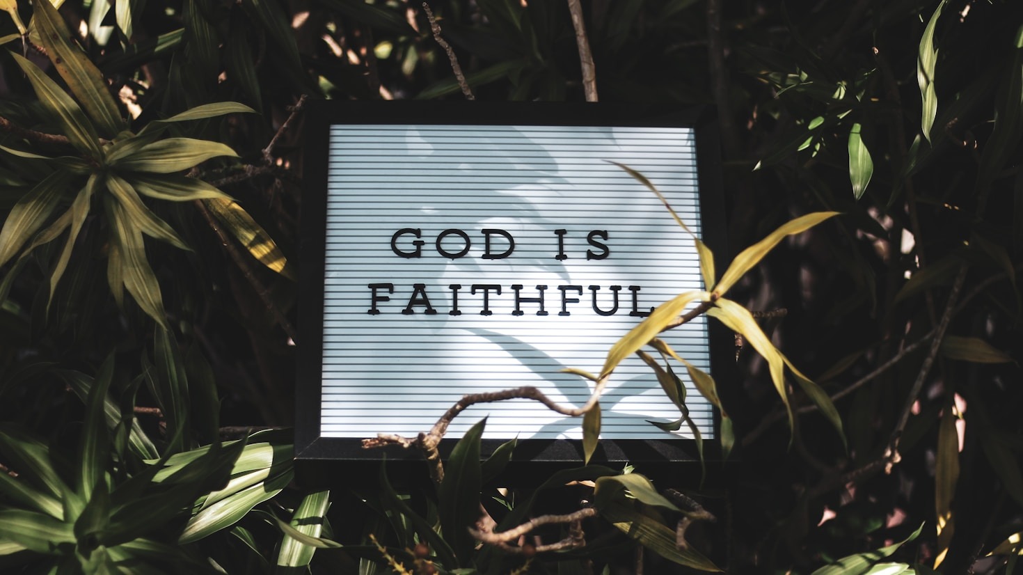 How to Pray for Peace and Guidance in Life